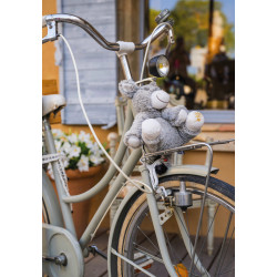 Doppelkarte Teddy auf Fahrrad
