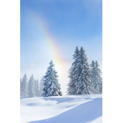 Regenbogen im Schnee
