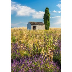 Doppelkarte Idylle Provence