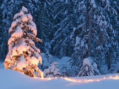 Serie Winter-Licht von Bruno Blum
