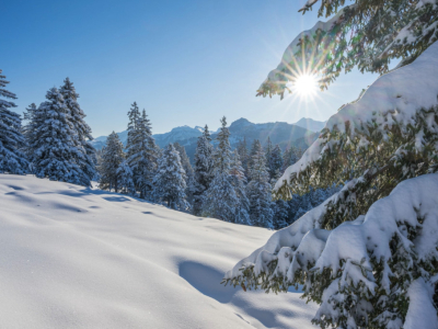 Magische Winterlandschaften auf der Ibergeregg